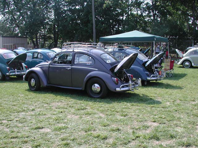 DSCN5585